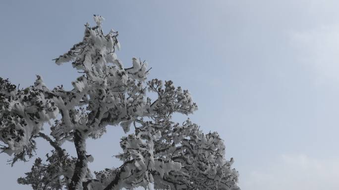 雪景 大理  鸡足山寺庙  宾川