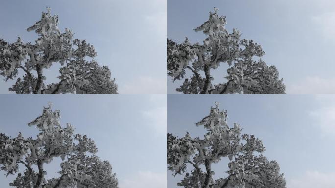 雪景 大理  鸡足山寺庙  宾川