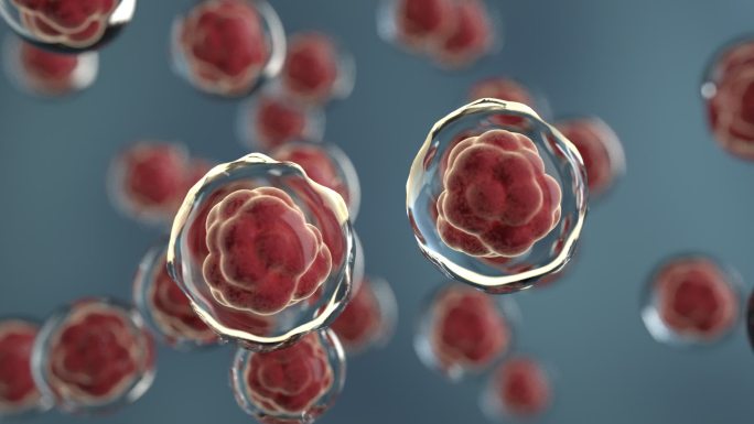 微观红色细胞分子分裂代谢三维动画