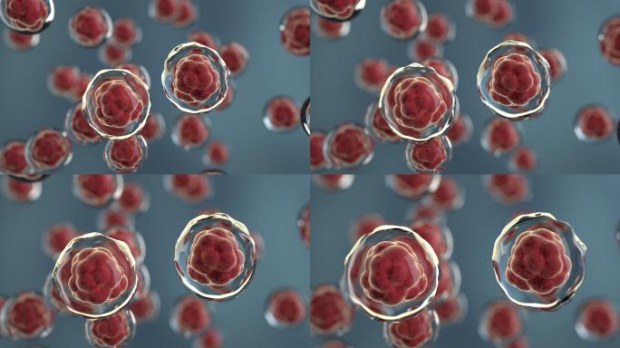 微观红色细胞分子分裂代谢三维动画