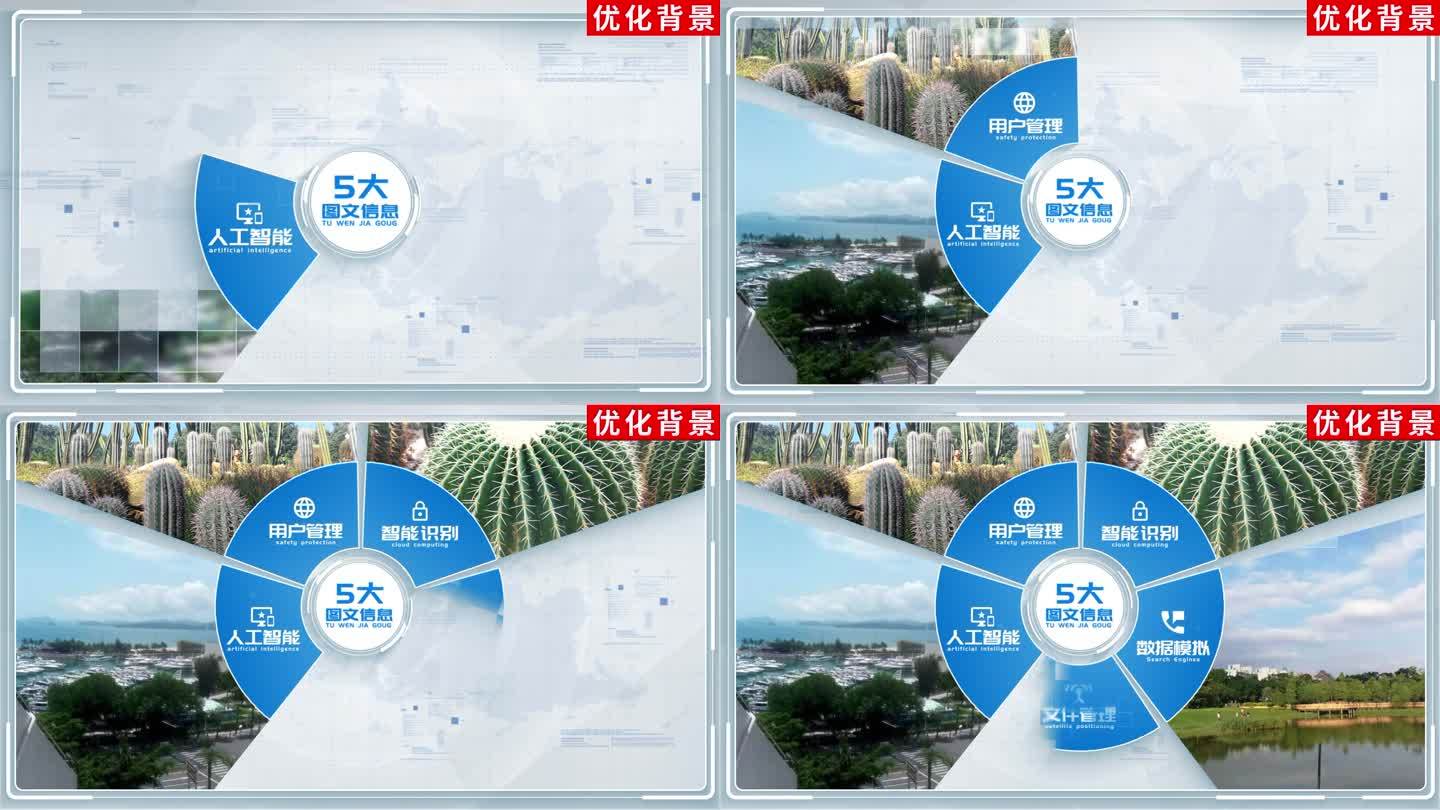 【5】商务企业架构信息分类ae模板包装五