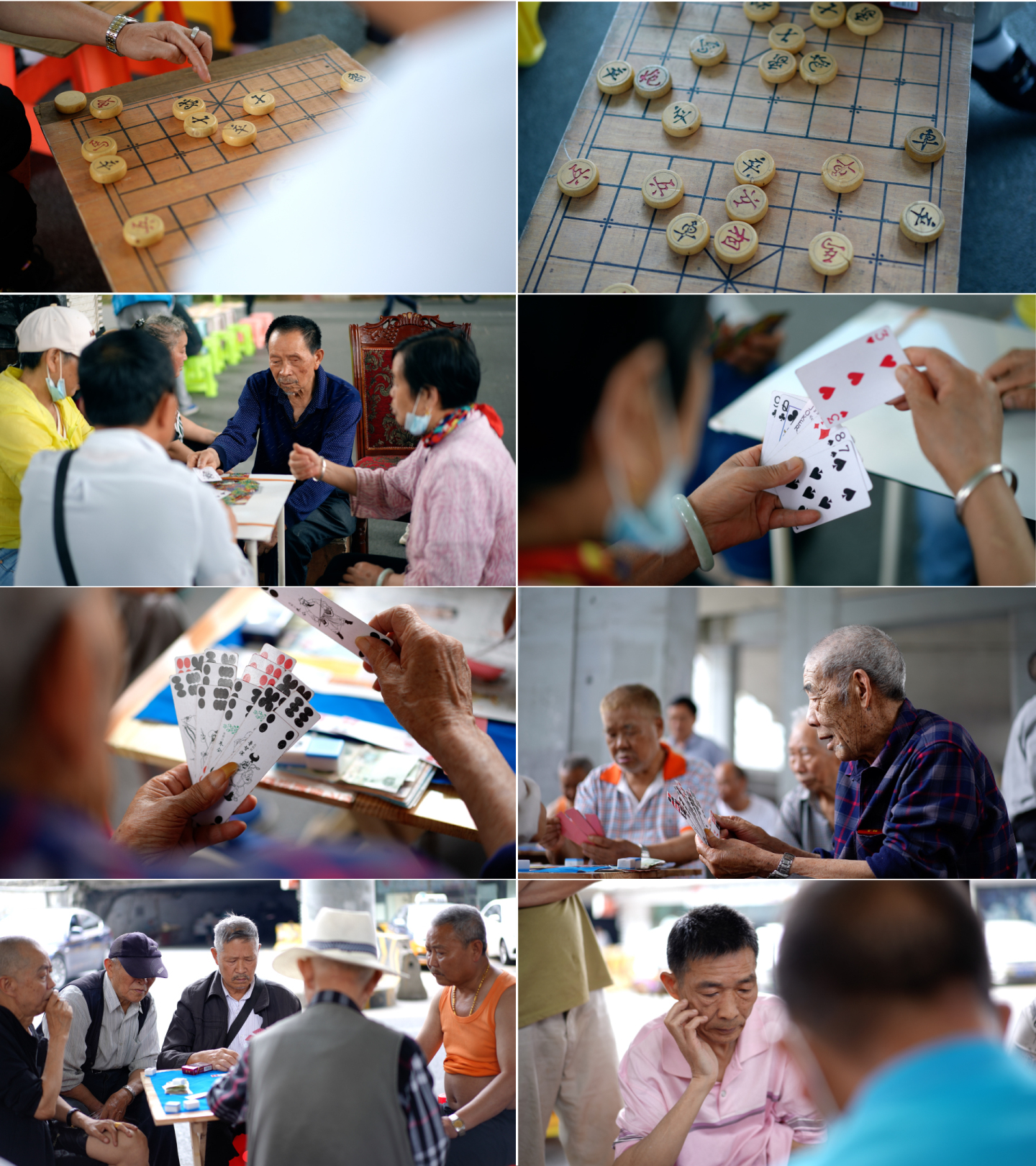 【4K】最新老年人打牌下象棋