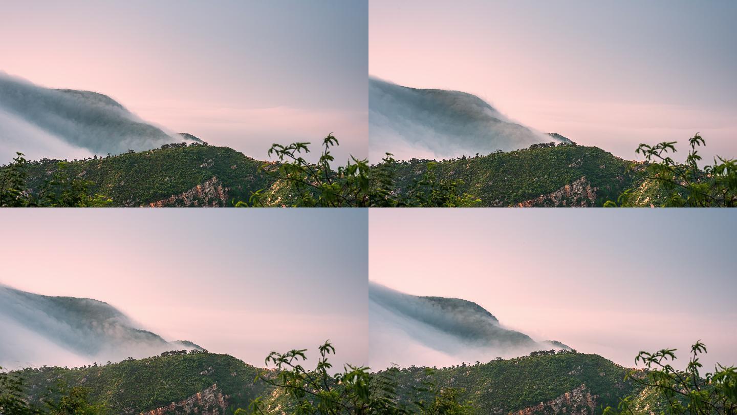 大连金州大黑山顶绝美平流雾，如梦如幻！