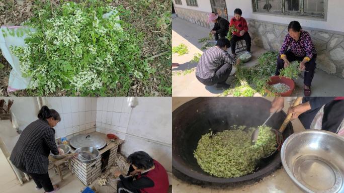 老家够洋槐花树枝农民包水饺包子