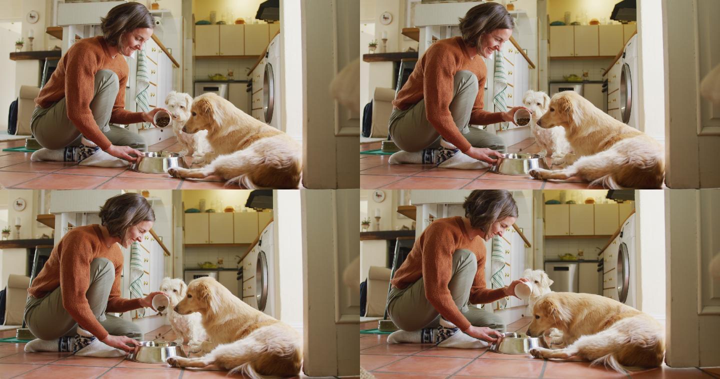 微笑的白人妇女喂她的宠物狗倒食物到碗在厨房在家里