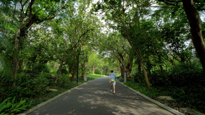 公园跑道林荫大道林间小路