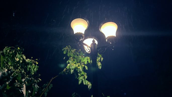 小区的雨中夜景