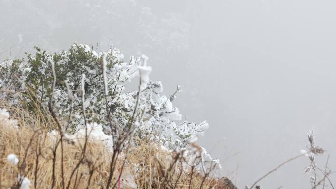 鸡足山 雪景 寺庙 佛塔