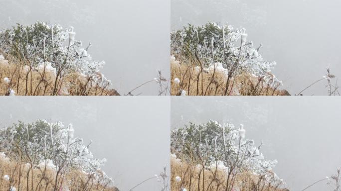 鸡足山 雪景 寺庙 佛塔