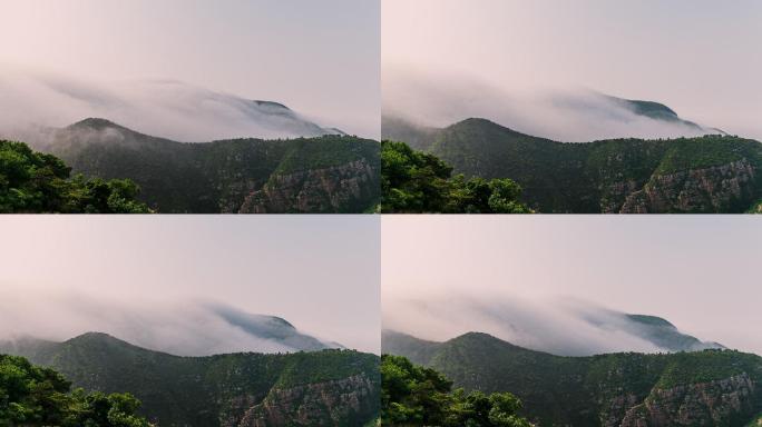 大连金州大黑山山麓平流雾，绝美云潮！