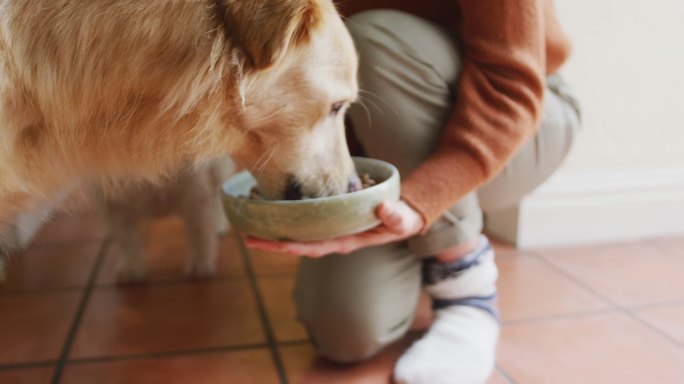 一个白人妇女在家里的厨房用碗喂她的宠物狗
