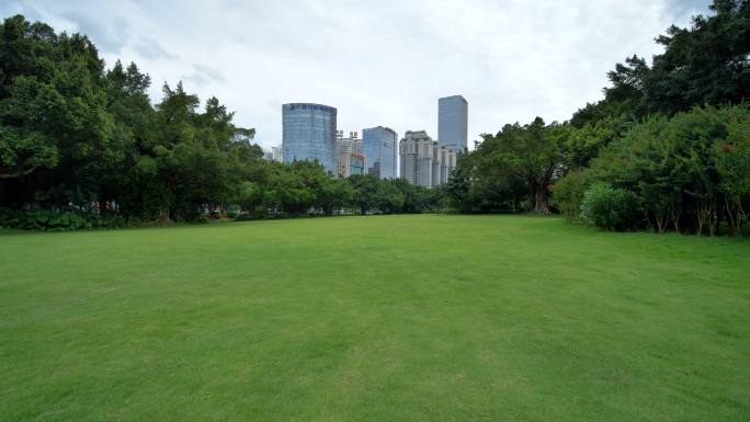 蓝天阳光草坪公园草地绿地