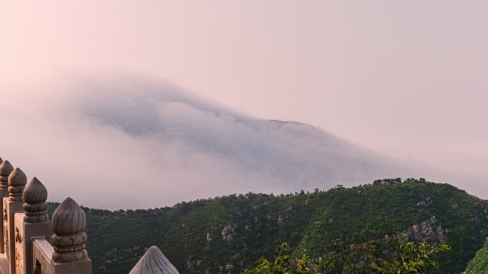 大连金州大黑山山麓平流雾，绝美云潮！