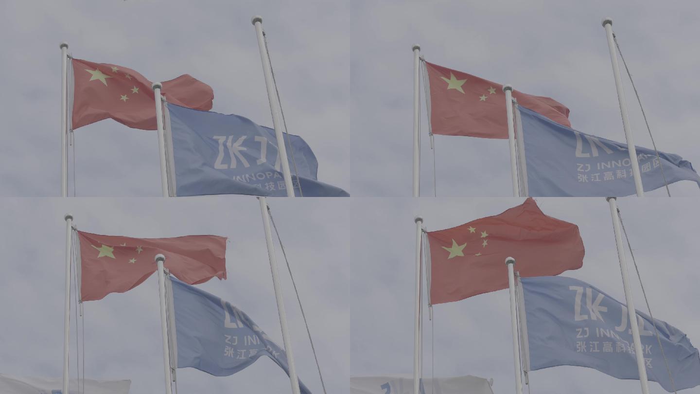 上海张江生物医药旗帜