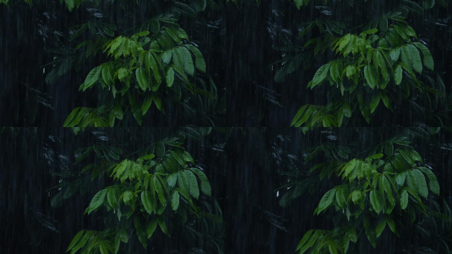 雨季空镜