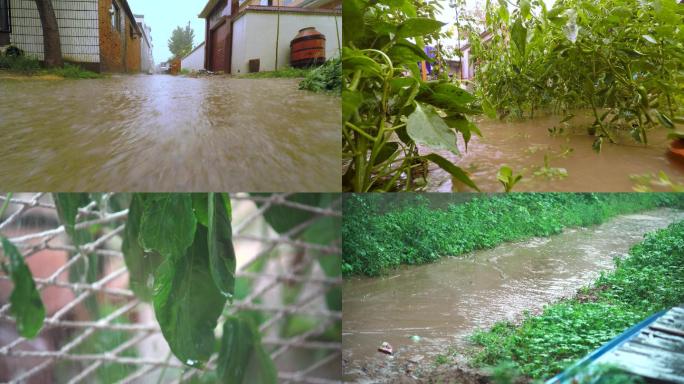 农村大暴雨实拍