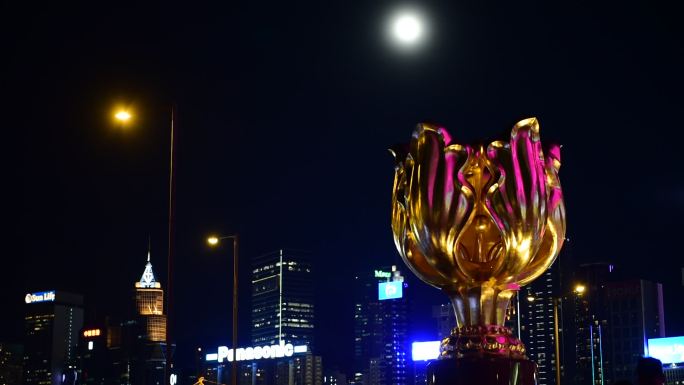 香港金紫荆广场“紫荆花”雕塑仰拍夜景