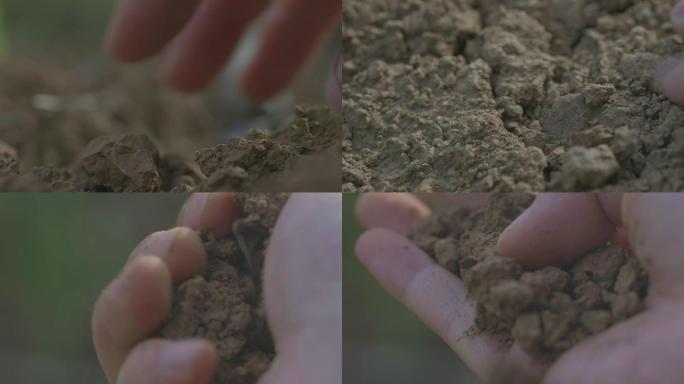 检查土壤泥土、土地干旱