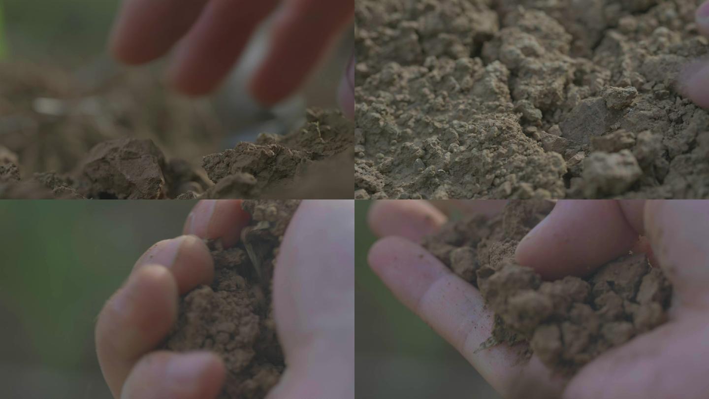 检查土壤泥土、土地干旱