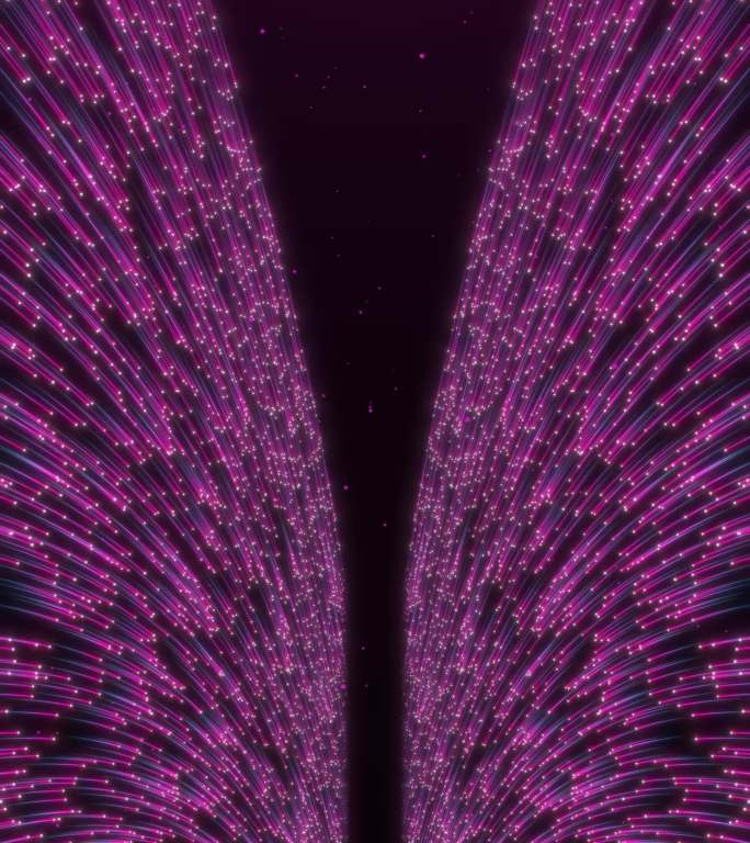 紫光流