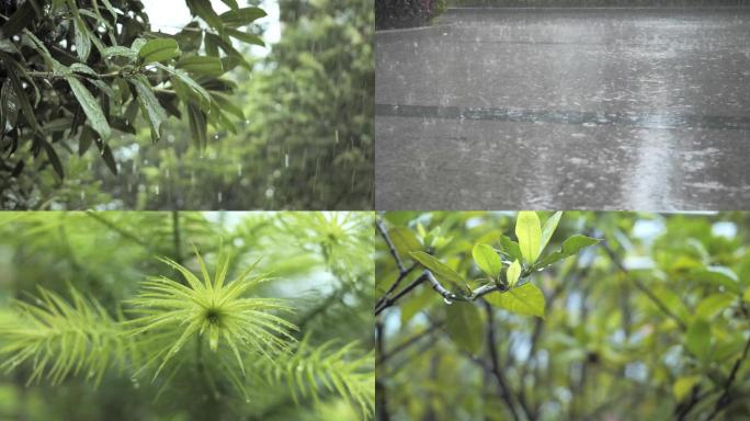 下雨下大雨阴天打伞