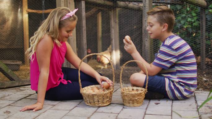 快乐的白种人兄弟和姐妹与篮子收集鸡蛋从鸡舍在花园