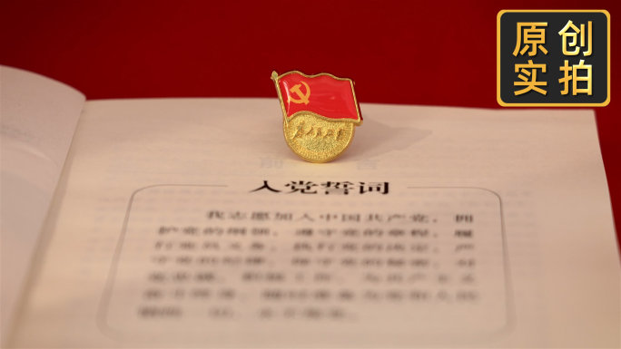 4K红色 党 党建党徽100周年素材V2