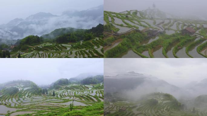 江南田园稻田梯田烟雨水墨风光