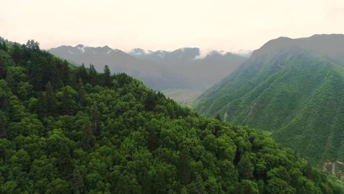 甘南纳浪村山谷