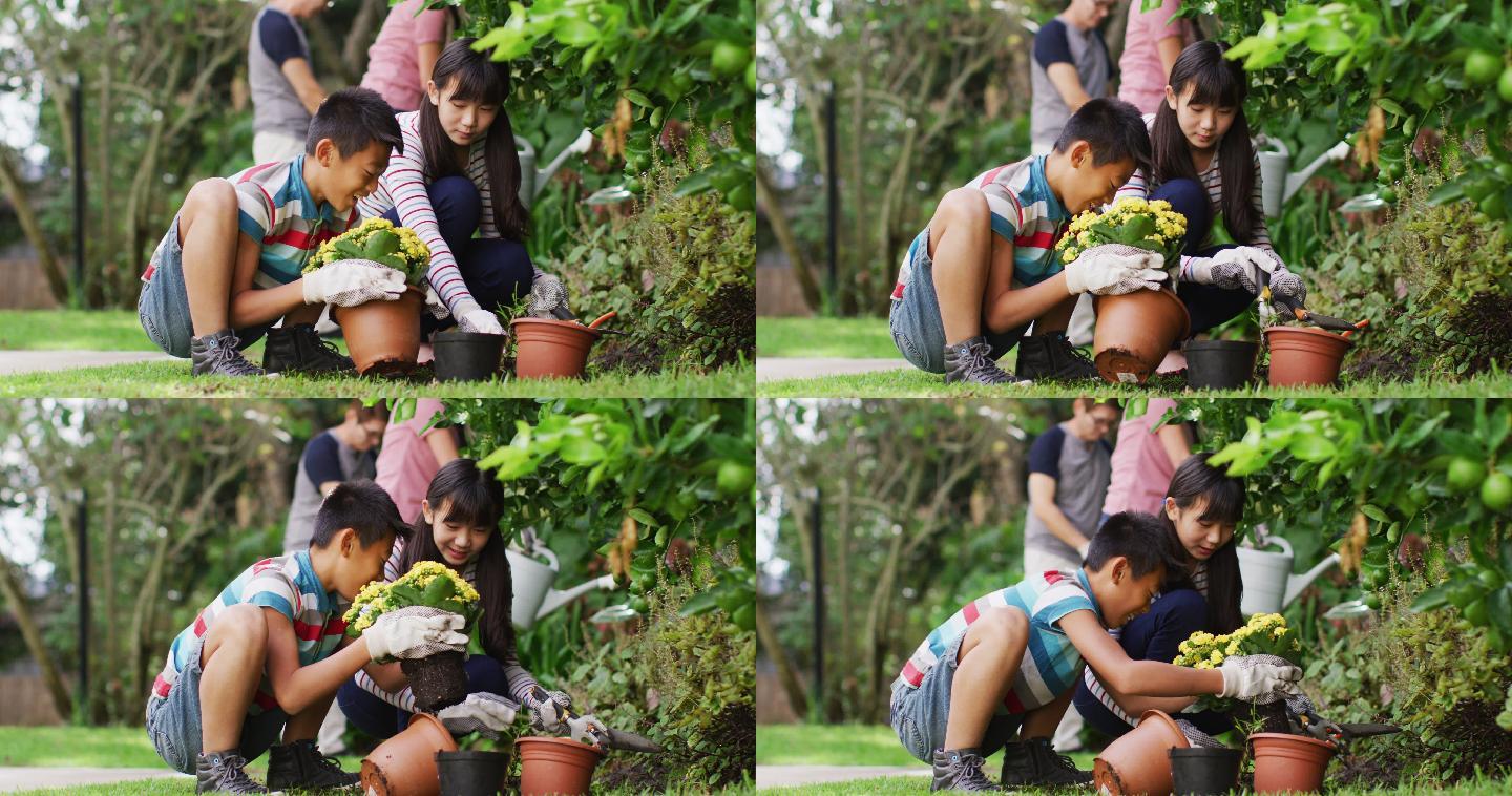 快乐的亚洲兄弟姐妹在花园里，种花和聊天，与父母在背后
