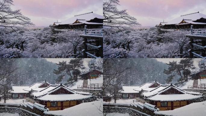 治愈系风景，瑞雪兆丰年。#风景#大雪