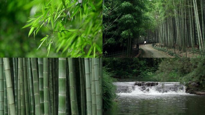 4k竹林竹叶特写竹林小路竹林溪流小桥