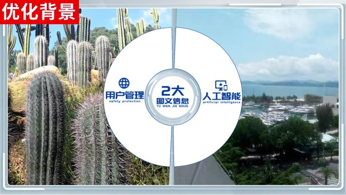 【2】商务企业架构信息分类ae模板包装二