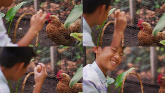 微笑的亚洲男孩与篮子收集鸡蛋从母鸡在花园