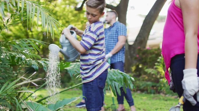 微笑的白种人兄妹和父母一起园艺，微笑着浇灌植物