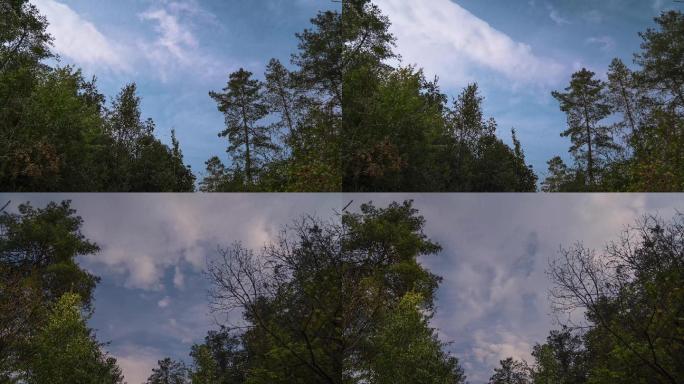 4K树林延时 | 山里的云 | 天空云彩