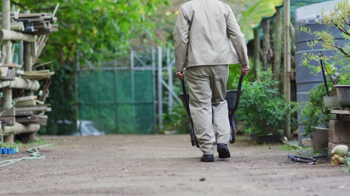 后视图的非洲裔美国男性园丁步行手推车在花园中心