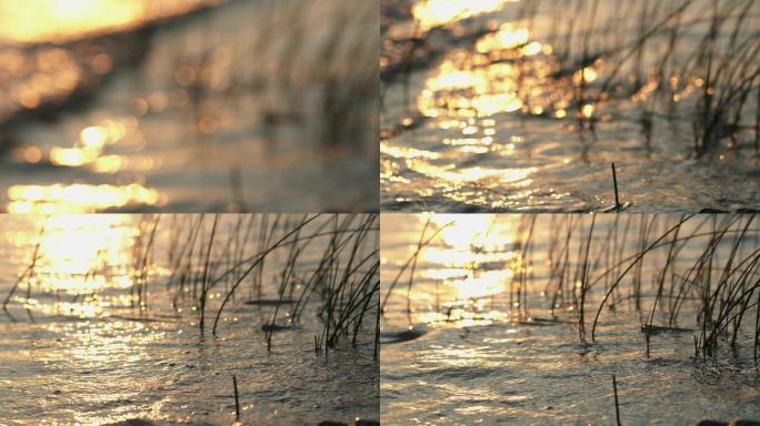 江边映照的夕阳