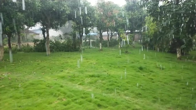 春雨草地雨滴雨淋下雨天雨季时节绿地雨滴