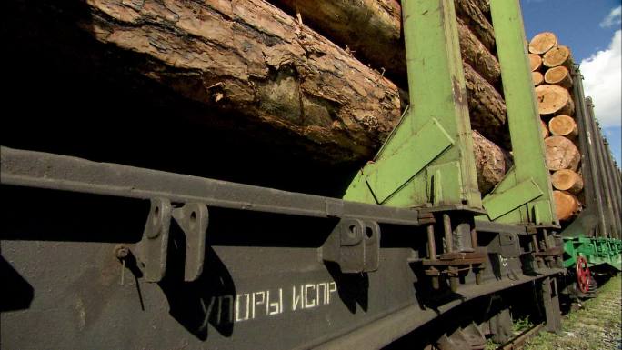 运输木头的火车