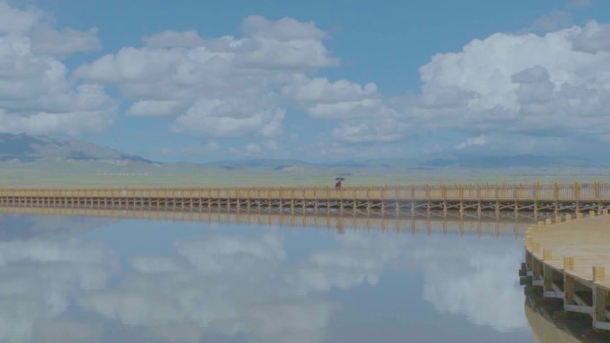 茶卡盐湖木桥