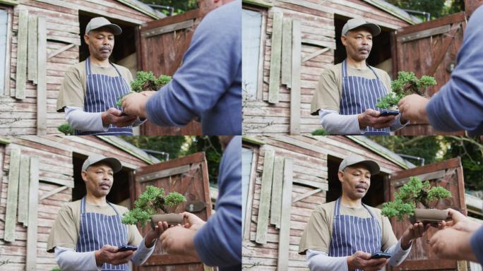 非洲裔美国男性园丁出售植物，使用非接触式支付在园艺中心