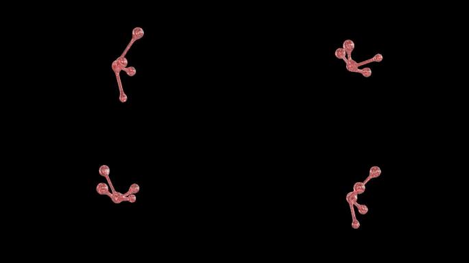 虾青素红色分子DNA转动运动