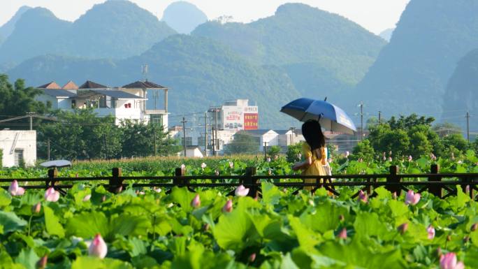 柳州柳江区莲花小镇