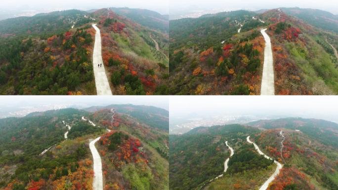 山村 大山 道路 航拍