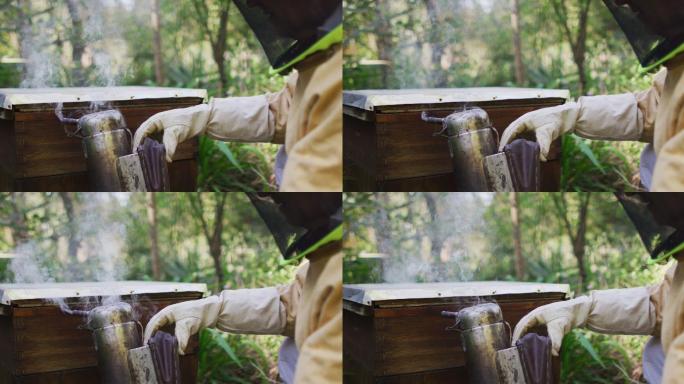白人男性养蜂人，穿着防护服，用烟熏器让蜂箱里的蜜蜂安静下来