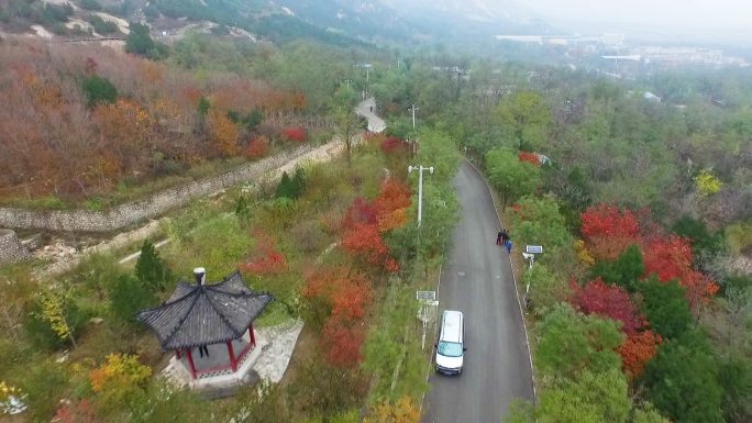 山村 大山 道路 航拍