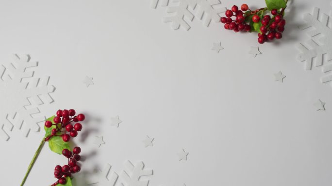 圣诞树枝的视频与红色浆果，雪花图案和复制空间在白色背景