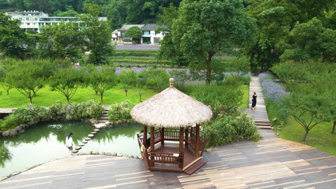 温州 雁荡山 乐清 旅游景区 航拍 奇山