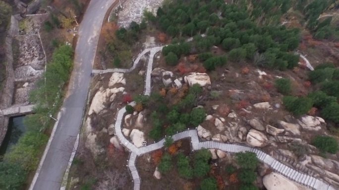 山村 大山 道路 航拍